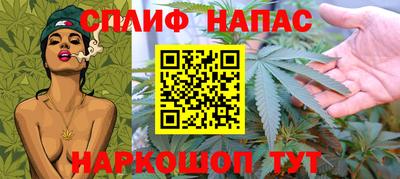 гашик Можга