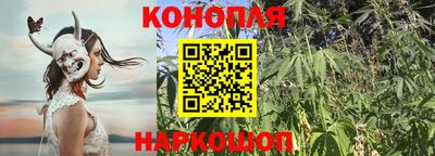 прущий лед Моздок