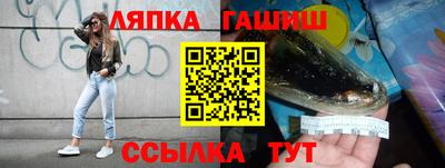 гашик Можга